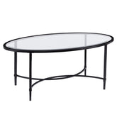 45" Black Glass And Metal Oval Coffee Table