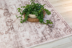 4' x 6' Brown and Ivory Oriental Area Rug