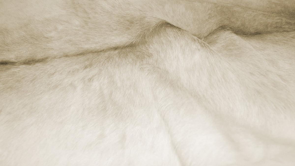 2' x 3' Off White Cowhide Hand Knotted Area Rug