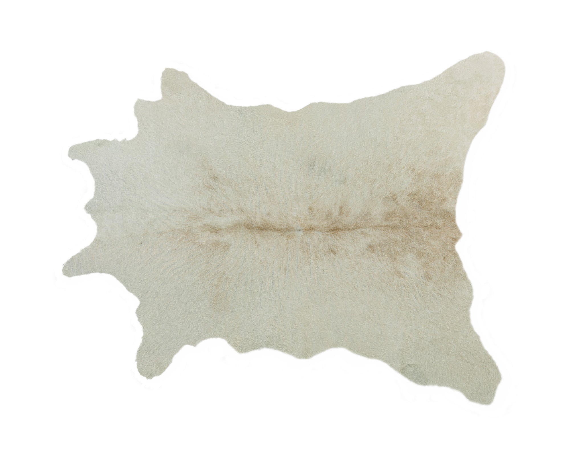 2' x 3' Off White Cowhide Hand Knotted Area Rug