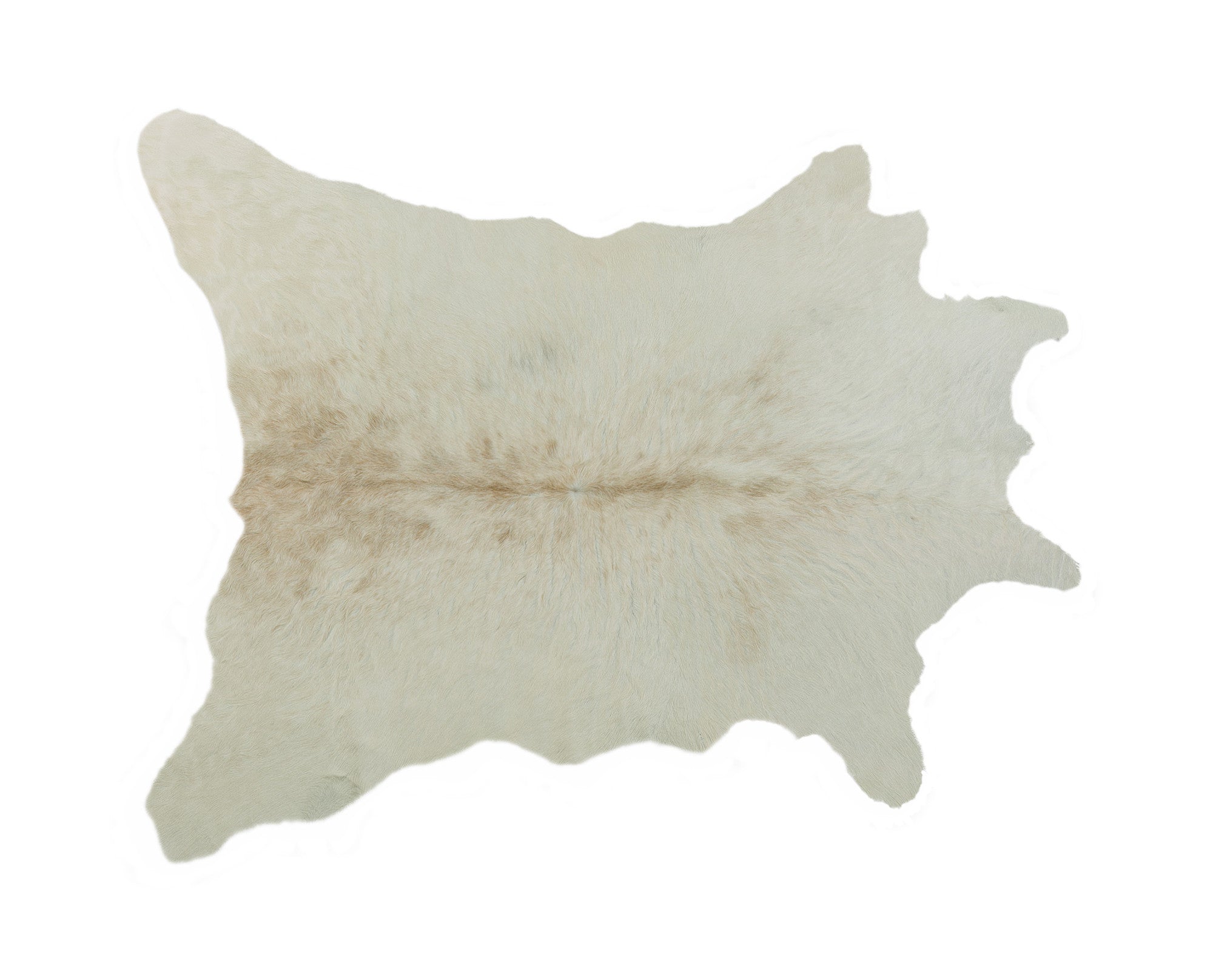 2' x 3' Off White Cowhide Hand Knotted Area Rug