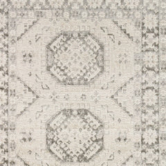 4' x 6' Gray Geometric Distressed Area Rug