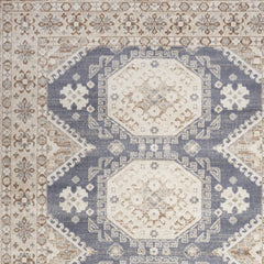 9' x 12' Blue Geometric Distressed Area Rug