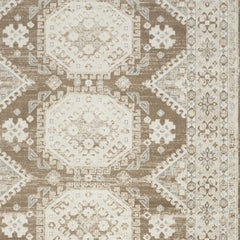9' x 12' Brown Geometric Distressed Area Rug