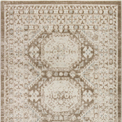 4' x 6' Brown Geometric Distressed Area Rug