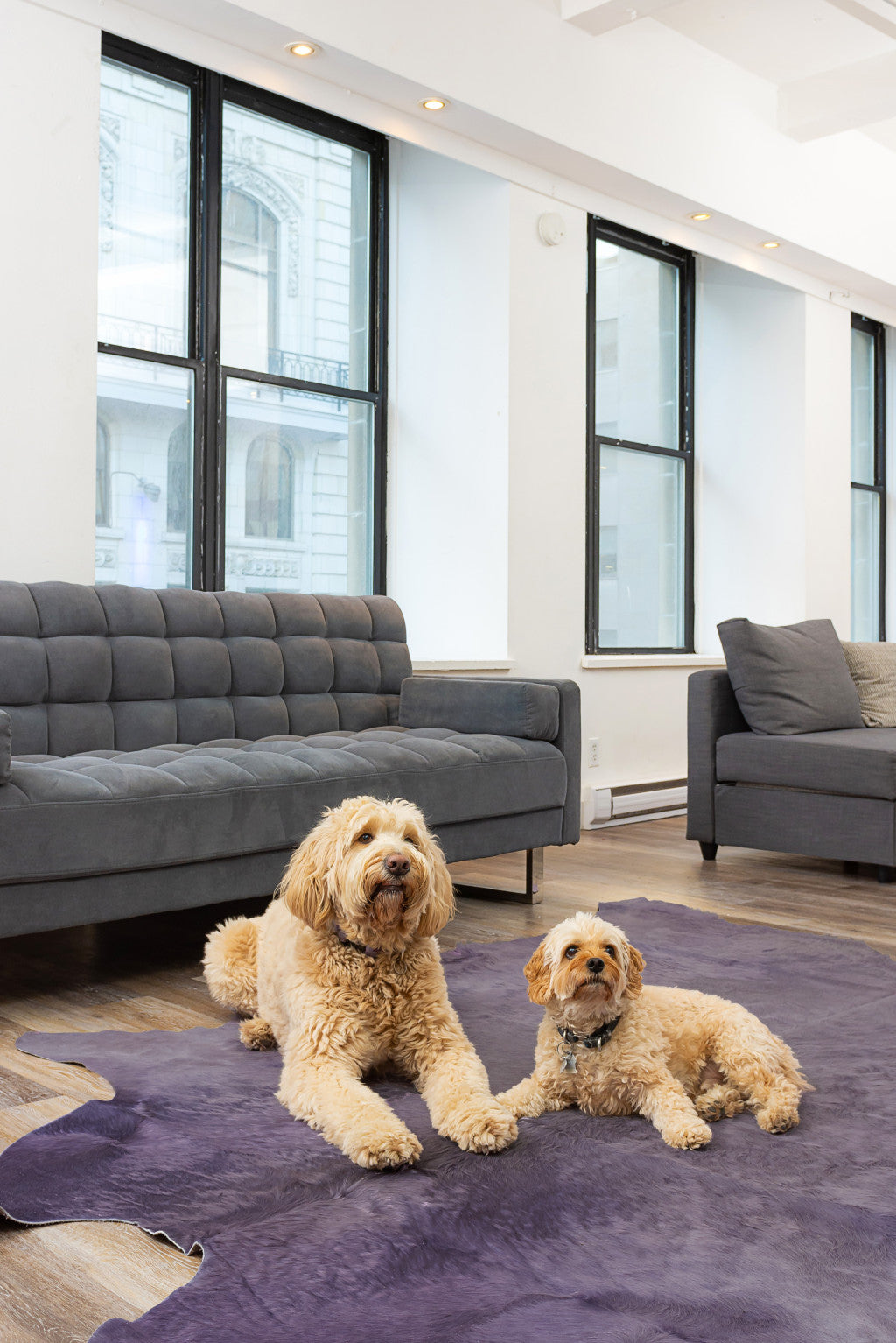 6' x 7' Lavender Cowhide Hand Knotted Area Rug