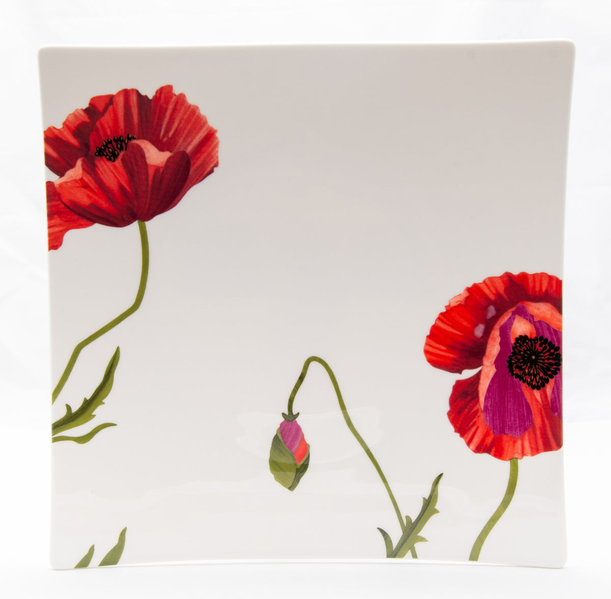 Red and White Six Piece Square Floral Bone China Service For Six Dinner Plate Set