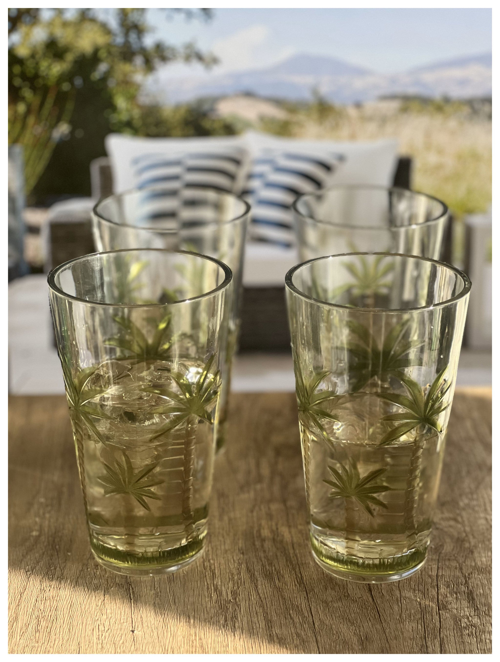 Set of Four Clear and Green Palm Tree Acrylic Highball Glasses