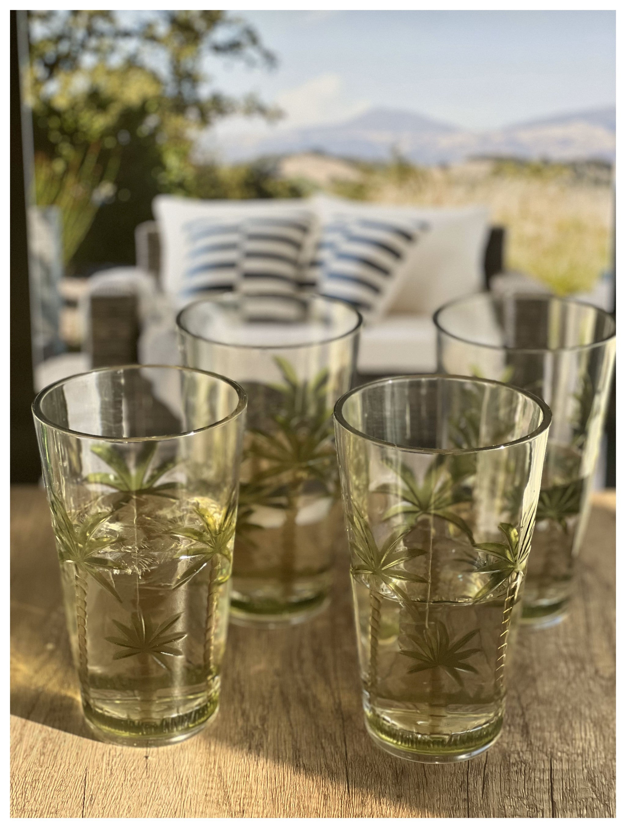 Set of Four Clear and Green Palm Tree Acrylic Highball Glasses