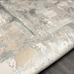 2' x 3' Gray and Beige Abstract Area Rug