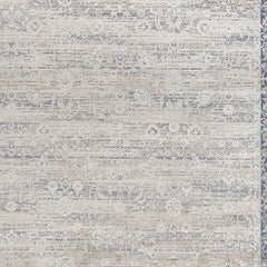 9' x 12' Blue and Beige Floral Area Rug