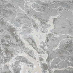 2' x 3' Gray and Ivory Abstract Power Loom Area Rug