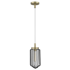 Gold and Black Metal Cage Pendant Hanging Light