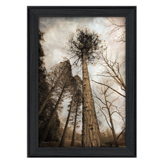 Skys The Limit Black Framed Print Wall Art