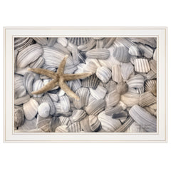 Starfish &amp; Seashells 3 White Framed Print Wall Art