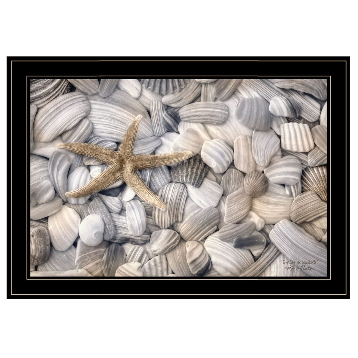 Starfish &amp; Seashells 4 Black Framed Print Wall Art