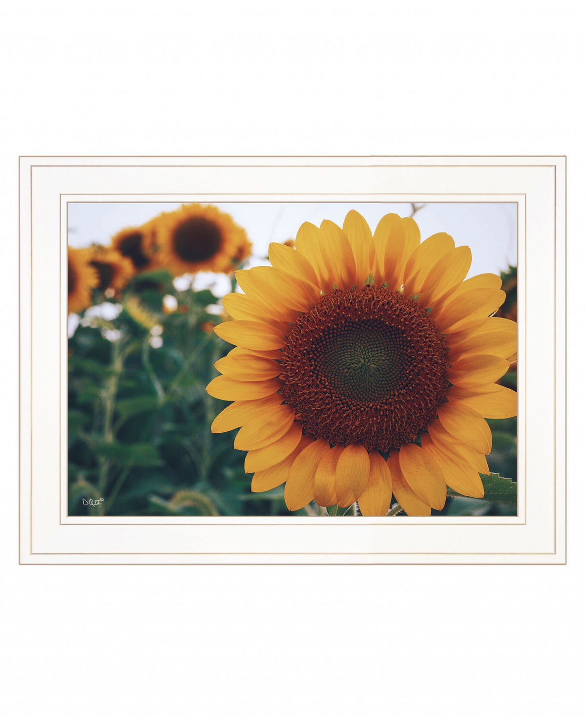 Midwest Livin II 2 White Framed Print Wall Art