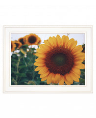 Midwest Livin II 2 White Framed Print Wall Art