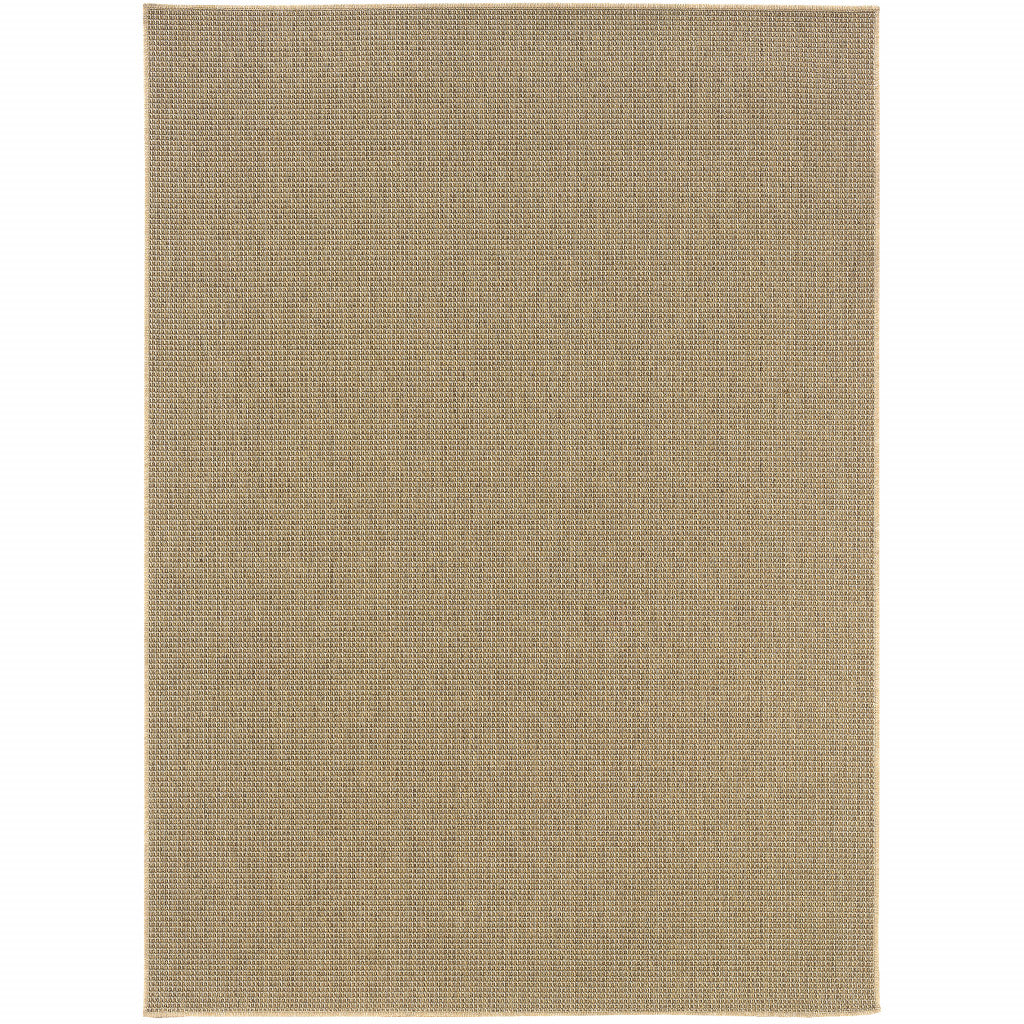 2' X 4' Sand Stain Resistant Indoor Outdoor Area Rug