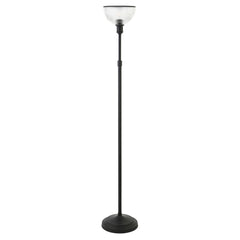 65" Black Novelty Floor Lamp With Clear Transparent Glass Dome Shade